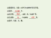 2021_2022学年新教材高中生物第三章细胞的代谢第五节第2课时光反应和碳反应的过程课件浙科版必修第一册
