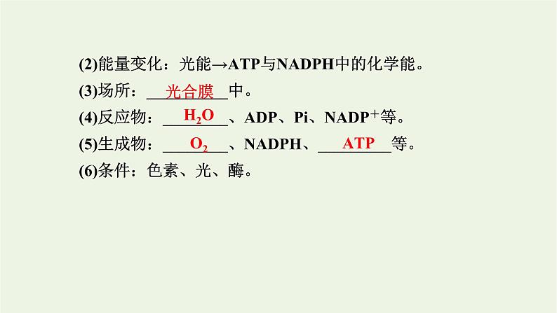 2021_2022学年新教材高中生物第三章细胞的代谢第五节第2课时光反应和碳反应的过程课件浙科版必修第一册03