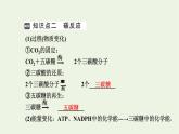 2021_2022学年新教材高中生物第三章细胞的代谢第五节第2课时光反应和碳反应的过程课件浙科版必修第一册