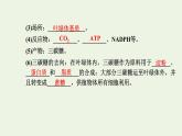 2021_2022学年新教材高中生物第三章细胞的代谢第五节第2课时光反应和碳反应的过程课件浙科版必修第一册