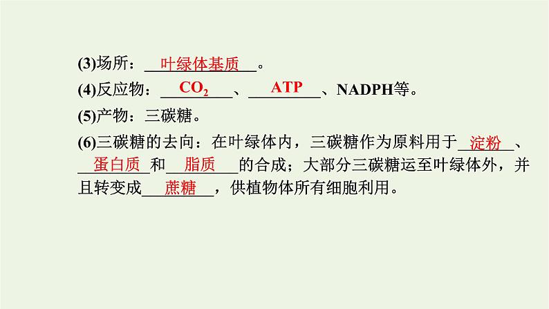 2021_2022学年新教材高中生物第三章细胞的代谢第五节第2课时光反应和碳反应的过程课件浙科版必修第一册05