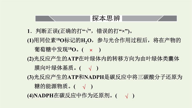 2021_2022学年新教材高中生物第三章细胞的代谢第五节第2课时光反应和碳反应的过程课件浙科版必修第一册07