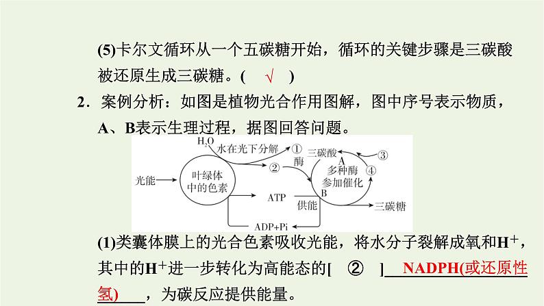 2021_2022学年新教材高中生物第三章细胞的代谢第五节第2课时光反应和碳反应的过程课件浙科版必修第一册08