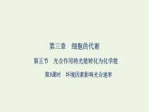 2021_2022学年新教材高中生物第三章细胞的代谢第五节第3课时环境因素影响光合速率课件浙科版必修第一册