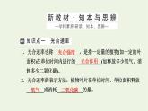 2021_2022学年新教材高中生物第三章细胞的代谢第五节第3课时环境因素影响光合速率课件浙科版必修第一册