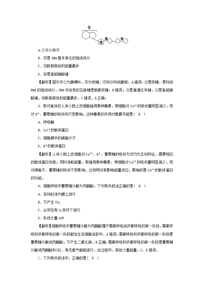2021_2022学年新教材高中生物第三章细胞的代谢素养检测卷含解析浙科版必修第一册第2页