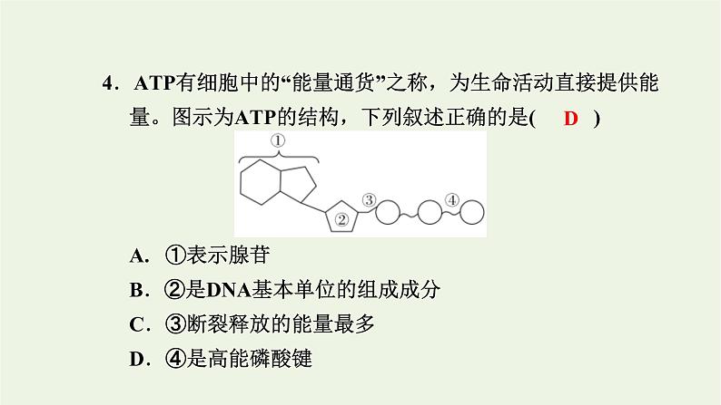 2021_2022学年新教材高中生物第三章细胞的代谢素养检测卷课件浙科版必修第一册05