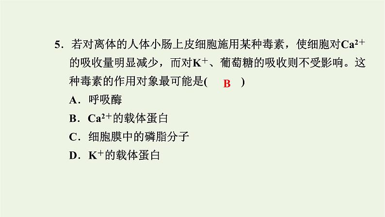 2021_2022学年新教材高中生物第三章细胞的代谢素养检测卷课件浙科版必修第一册07