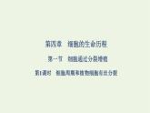 2021_2022学年新教材高中生物第四章细胞的生命历程第一节第1课时细胞周期和植物细胞有丝分裂课件浙科版必修第一册