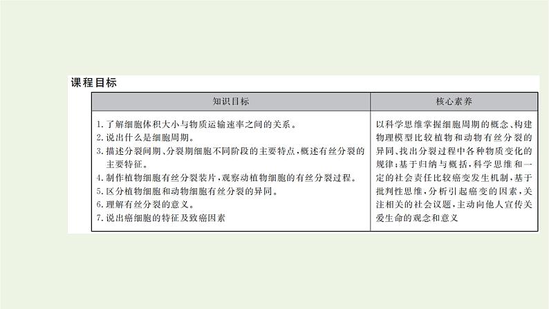 2021_2022学年新教材高中生物第四章细胞的生命历程第一节第1课时细胞周期和植物细胞有丝分裂课件浙科版必修第一册第2页