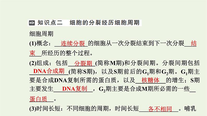 2021_2022学年新教材高中生物第四章细胞的生命历程第一节第1课时细胞周期和植物细胞有丝分裂课件浙科版必修第一册第7页