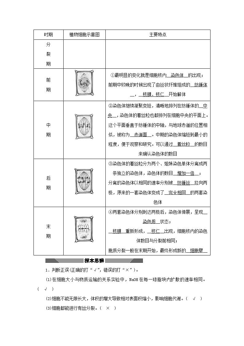 2021_2022学年新教材高中生物第四章细胞的生命历程第一节第1课时细胞周期和植物细胞有丝分裂学案浙科版必修第一册03