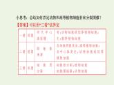 2021_2022学年新教材高中生物第四章细胞的生命历程第一节第2课时动植物细胞有丝分裂的区别和观察有丝分裂实验课件浙科版必修第一册