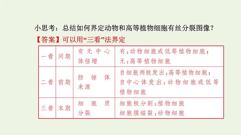 2021_2022学年新教材高中生物第四章细胞的生命历程第一节第2课时动植物细胞有丝分裂的区别和观察有丝分裂实验课件浙科版必修第一册04