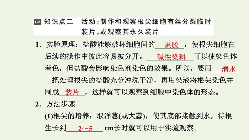 2021_2022学年新教材高中生物第四章细胞的生命历程第一节第2课时动植物细胞有丝分裂的区别和观察有丝分裂实验课件浙科版必修第一册05