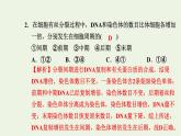 2021_2022学年新教材高中生物第四章细胞的生命历程素养检测卷课件浙科版必修第一册