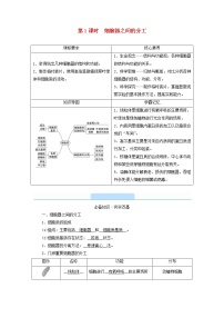 人教版 (2019)必修1《分子与细胞》第3章 细胞的基本结构第2节 细胞器之间的分工合作第1课时学案