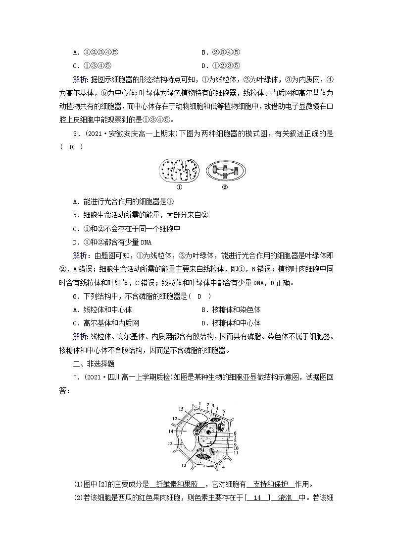 2021_2022学年新教材高中生物第3章细胞的基本结构第2节第1课时细胞器之间的分工作业含解析新人教版必修1第2页
