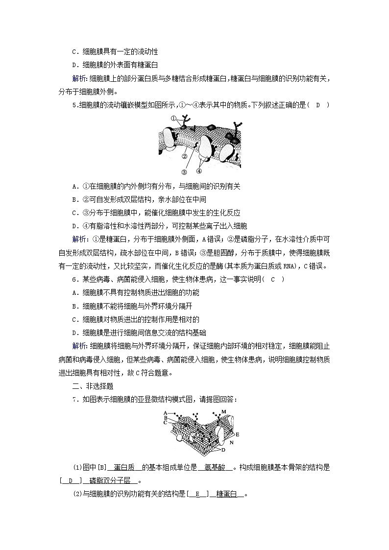 2021_2022学年新教材高中生物第3章细胞的基本结构第1节细胞膜的结构和功能作业含解析新人教版必修1 练习02