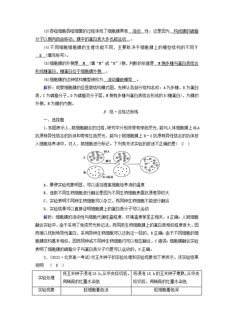 2021_2022学年新教材高中生物第3章细胞的基本结构第1节细胞膜的结构和功能作业含解析新人教版必修1 练习03