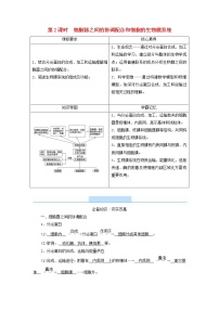 高中人教版 (2019)第3章 细胞的基本结构第2节 细胞器之间的分工合作第2课时导学案