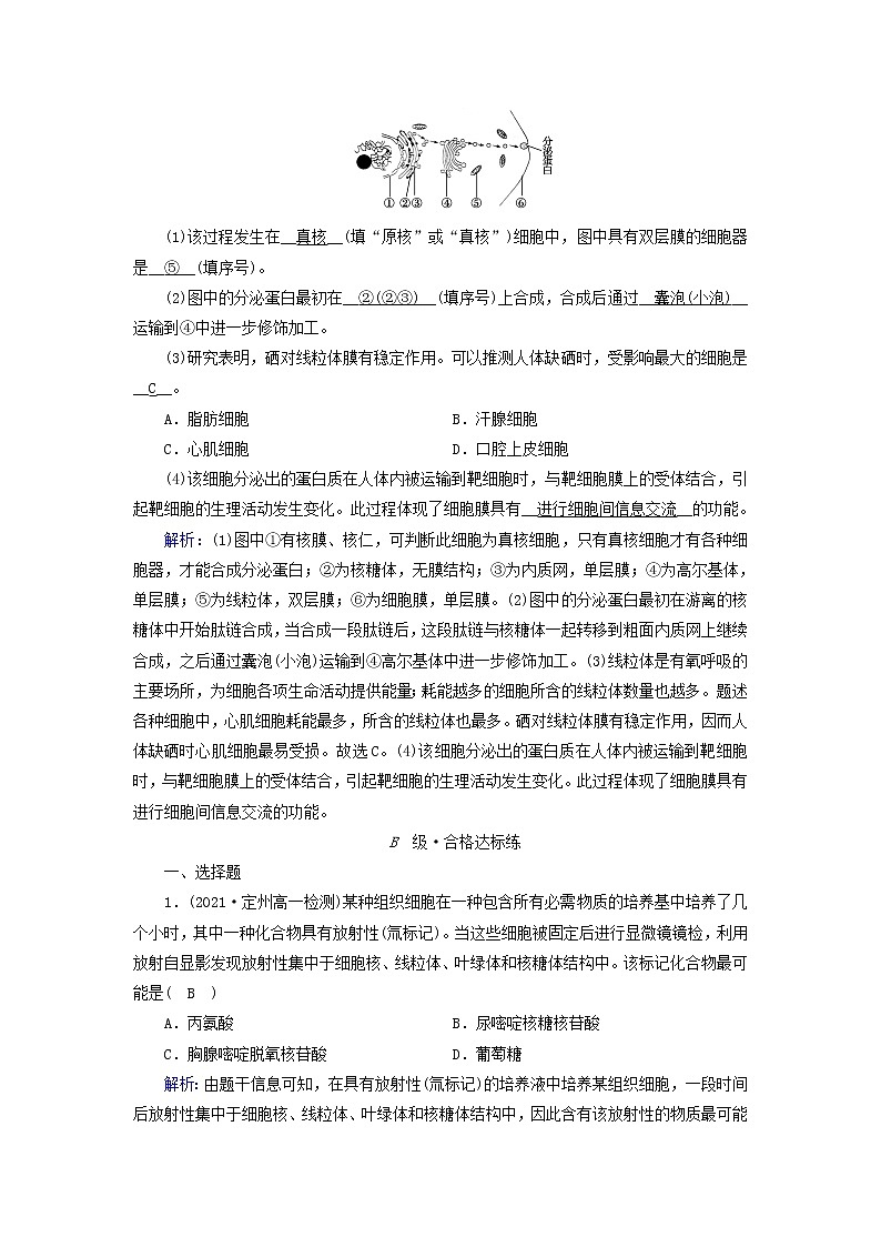 2021_2022学年新教材高中生物第3章细胞的基本结构第2节第2课时细胞器之间的协调配合和细胞的生物膜系统作业含解析新人教版必修1第3页