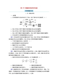生物人教版 (2019)第3节 细胞核的结构和功能精练
