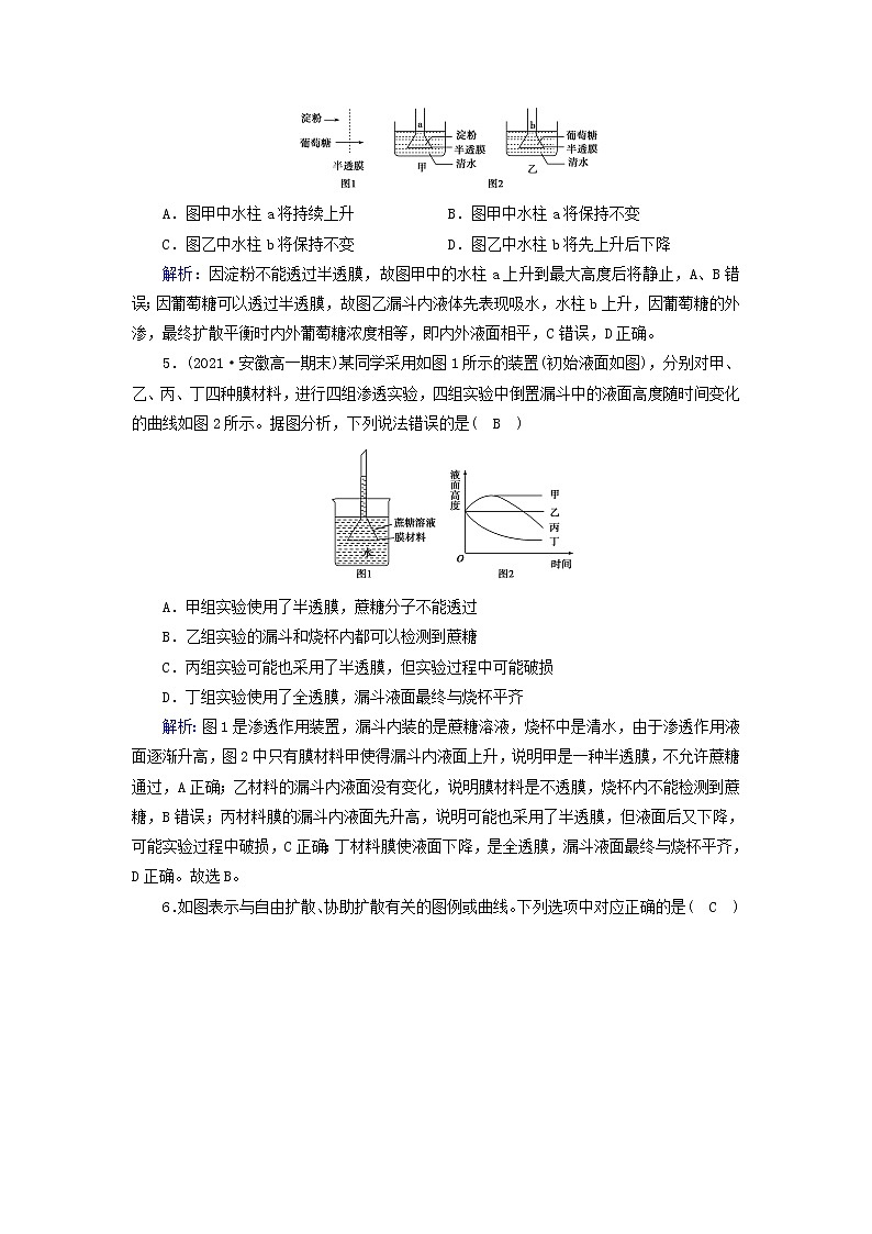 2021_2022学年新教材高中生物第4章细胞的物质输入和输出第1节被动运输作业含解析新人教版必修1第2页