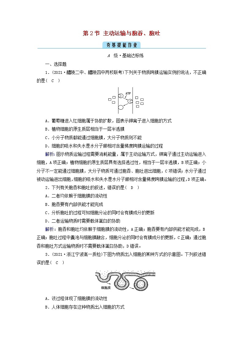 2021_2022学年新教材高中生物第4章细胞的物质输入和输出第2节主动运输与胞吞胞吐作业含解析新人教版必修1第1页