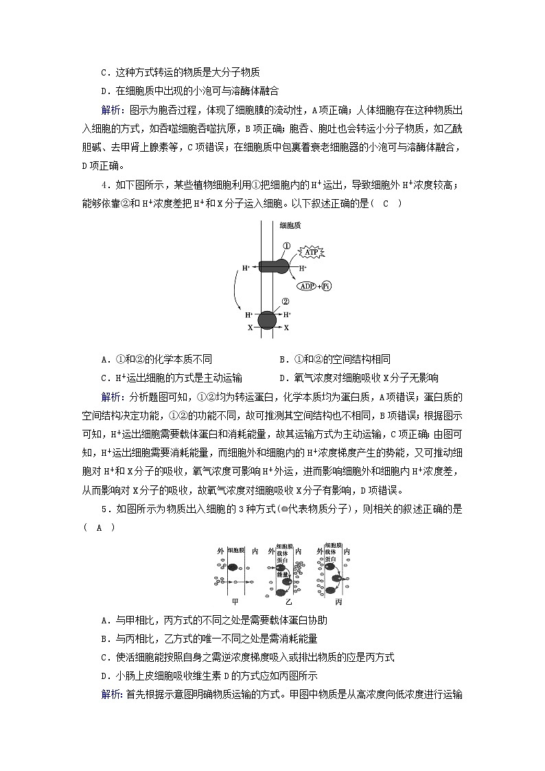 2021_2022学年新教材高中生物第4章细胞的物质输入和输出第2节主动运输与胞吞胞吐作业含解析新人教版必修1第2页