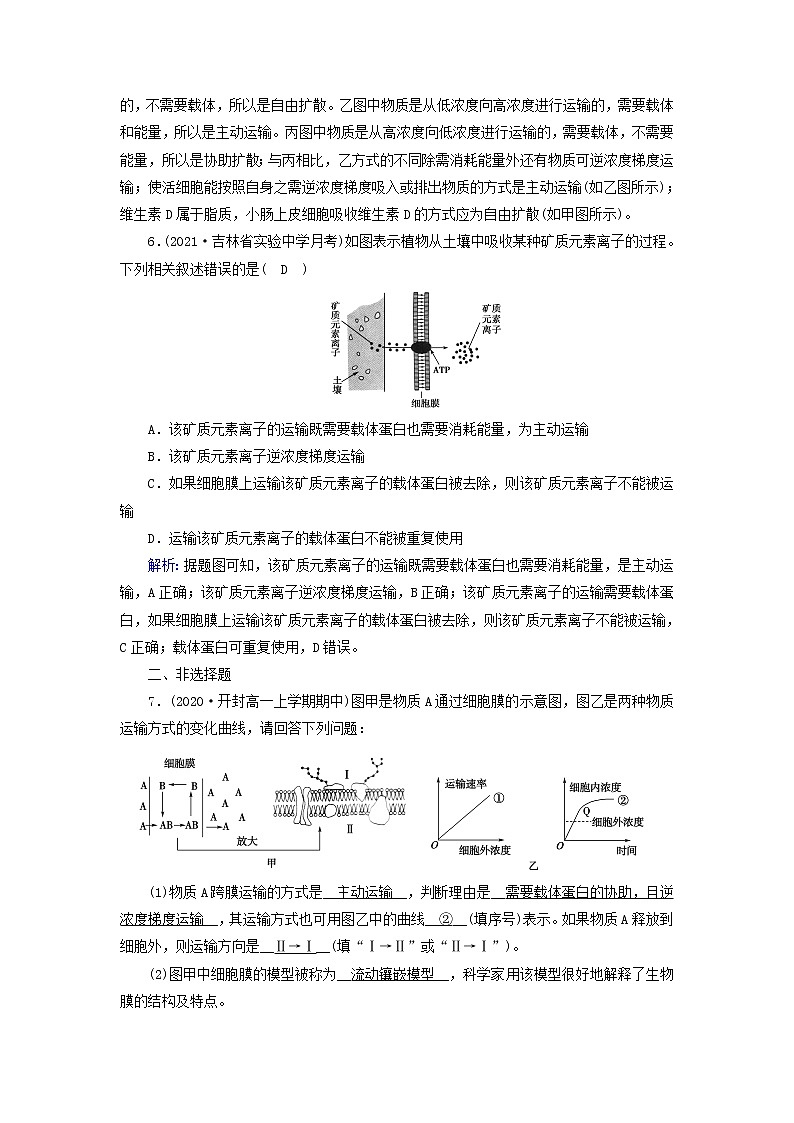 2021_2022学年新教材高中生物第4章细胞的物质输入和输出第2节主动运输与胞吞胞吐作业含解析新人教版必修1第3页