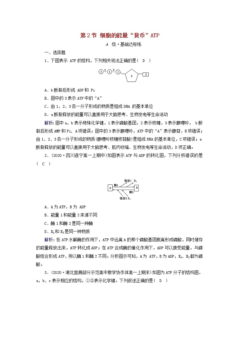 2021_2022学年新教材高中生物第5章细胞的能量供应和利用第2节细胞的能量“货币”ATP作业含解析新人教版必修1第1页