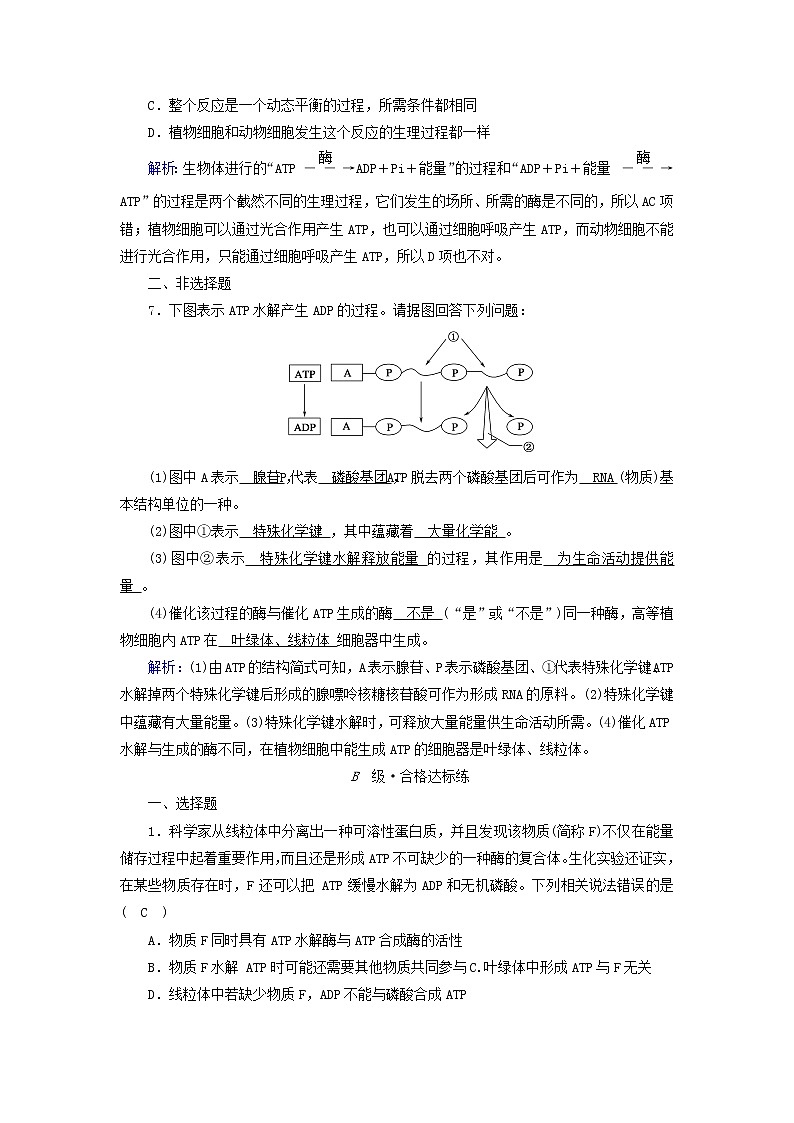 2021_2022学年新教材高中生物第5章细胞的能量供应和利用第2节细胞的能量“货币”ATP作业含解析新人教版必修1第3页