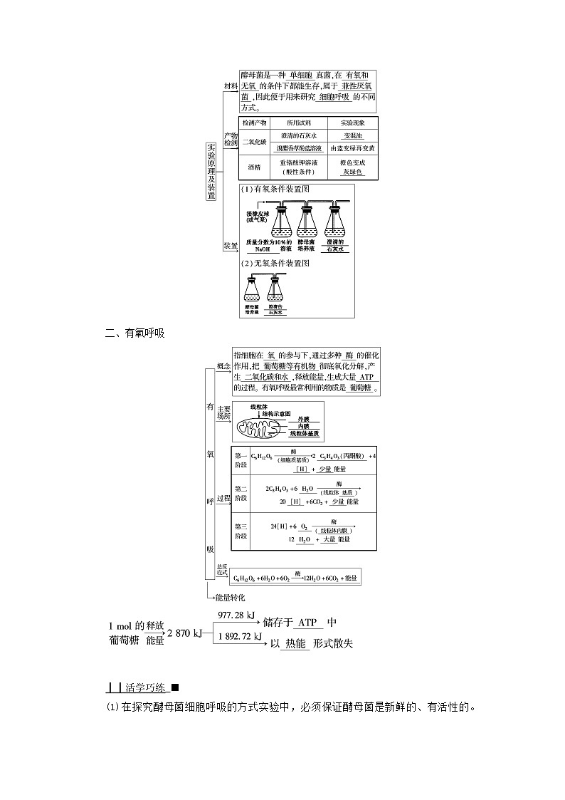 2021_2022学年新教材高中生物第5章细胞的能量供应和利用第3节第1课时细胞呼吸的方式和有氧呼吸过程学案新人教版必修102