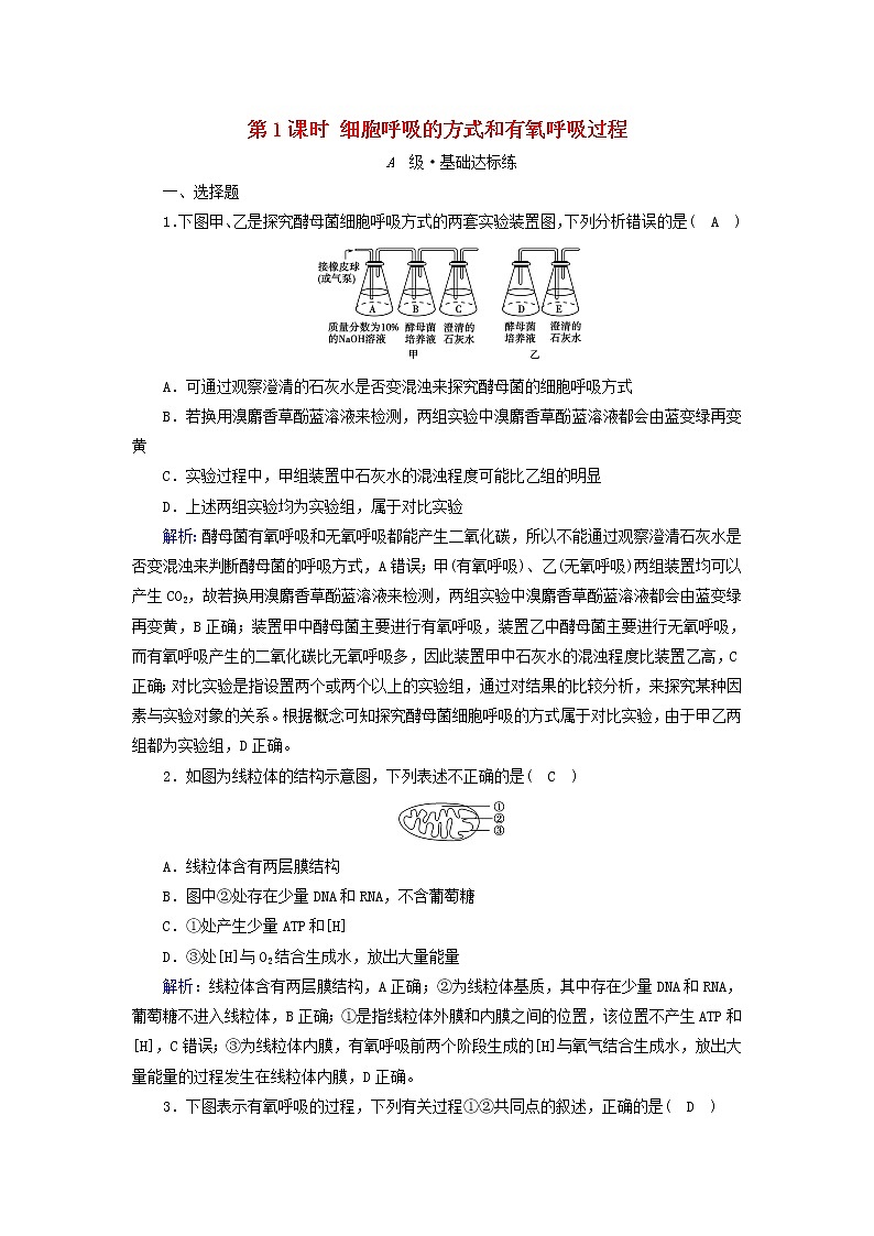 2021_2022学年新教材高中生物第5章细胞的能量供应和利用第3节第1课时细胞呼吸的方式和有氧呼吸过程作业含解析新人教版必修1第1页