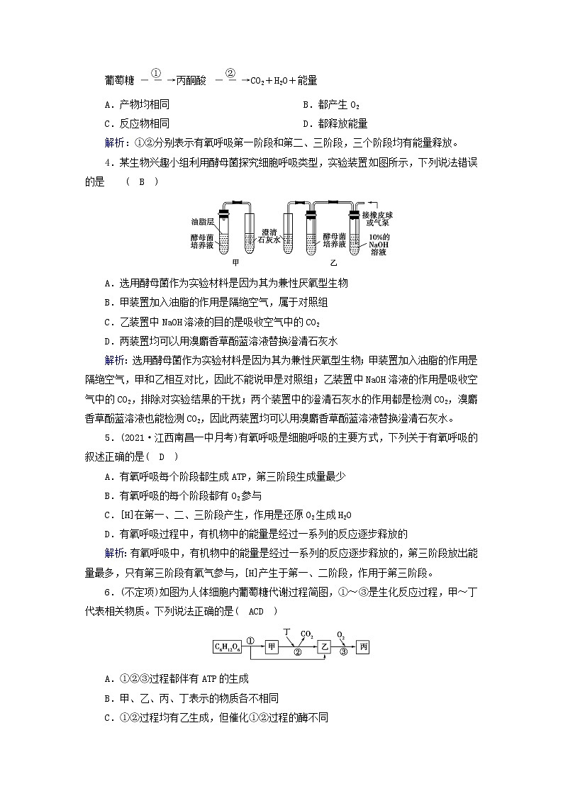 2021_2022学年新教材高中生物第5章细胞的能量供应和利用第3节第1课时细胞呼吸的方式和有氧呼吸过程作业含解析新人教版必修1第2页