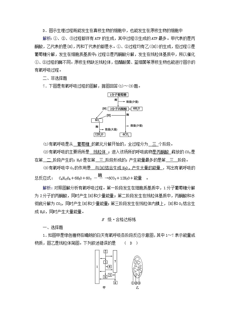 2021_2022学年新教材高中生物第5章细胞的能量供应和利用第3节第1课时细胞呼吸的方式和有氧呼吸过程作业含解析新人教版必修1第3页