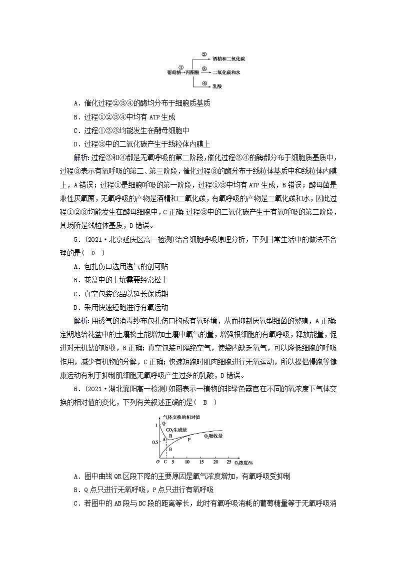 2021_2022学年新教材高中生物第5章细胞的能量供应和利用第3节第2课时无氧呼吸与细胞呼吸原理的应用作业含解析新人教版必修1第2页