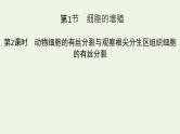 2021_2022学年新教材高中生物第6章细胞的生命历程第1节第2课时动物细胞的有丝分裂与观察根尖分生区组织细胞的有丝分裂课件新人教版必修1