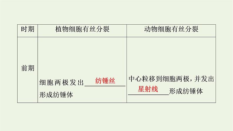 2021_2022学年新教材高中生物第6章细胞的生命历程第1节第2课时动物细胞的有丝分裂与观察根尖分生区组织细胞的有丝分裂课件新人教版必修107