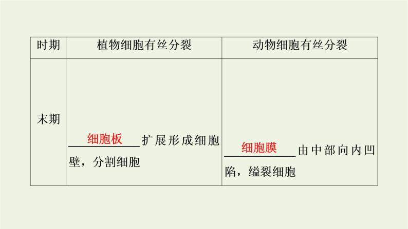 2021_2022学年新教材高中生物第6章细胞的生命历程第1节第2课时动物细胞的有丝分裂与观察根尖分生区组织细胞的有丝分裂课件新人教版必修108