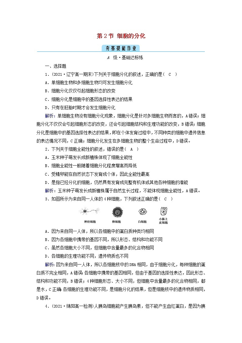 2021_2022学年新教材高中生物第6章细胞的生命历程第2节细胞的分化作业含解析新人教版必修1 练习01