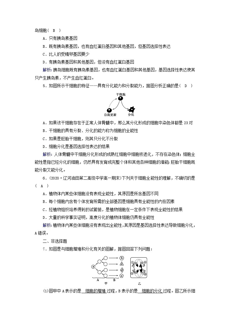 2021_2022学年新教材高中生物第6章细胞的生命历程第2节细胞的分化作业含解析新人教版必修1 练习02
