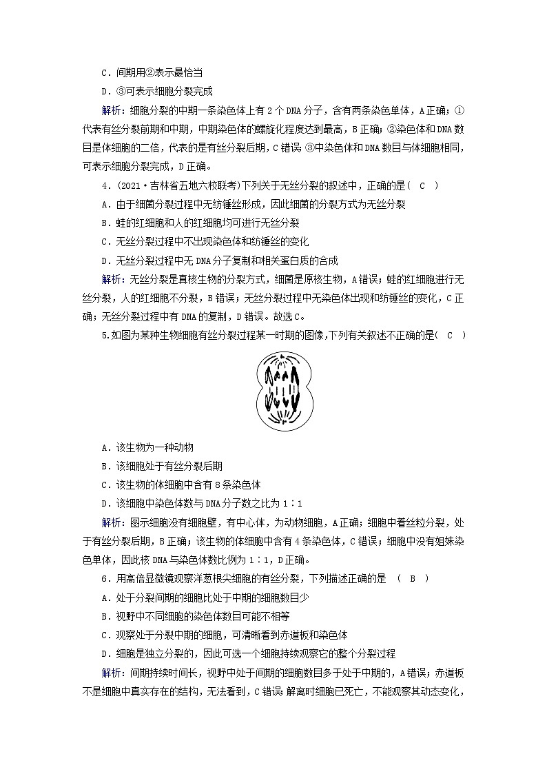 2021_2022学年新教材高中生物第6章细胞的生命历程第1节第2课时动物细胞的有丝分裂与观察根尖分生区组织细胞的有丝分裂作业含解析新人教版必修1第2页