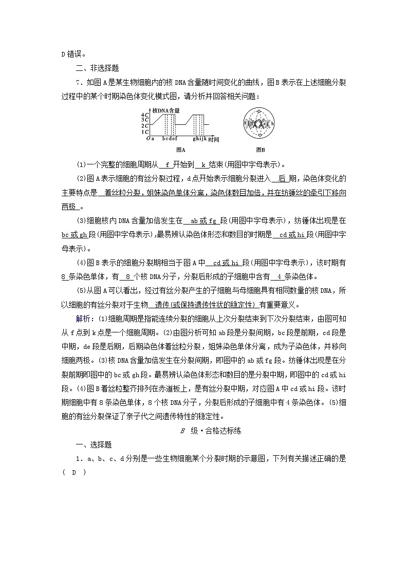 2021_2022学年新教材高中生物第6章细胞的生命历程第1节第2课时动物细胞的有丝分裂与观察根尖分生区组织细胞的有丝分裂作业含解析新人教版必修1第3页