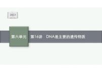 2023年老高考生物一轮复习第16讲　DNA是主要的遗传物质课件PPT