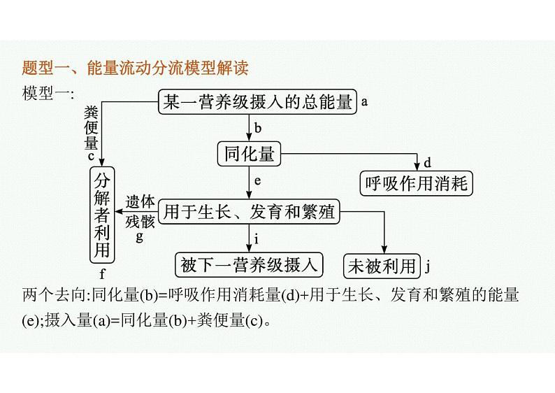 2023年老高考生物一轮复习微专题7　能量流动分流模型解读及相关计算第2页