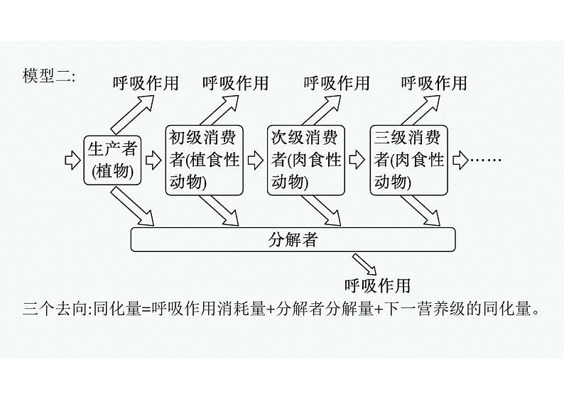 2023年老高考生物一轮复习微专题7　能量流动分流模型解读及相关计算第3页