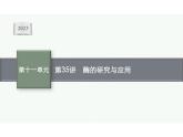 2023年老高考生物一轮复习第35讲　酶的研究与应用