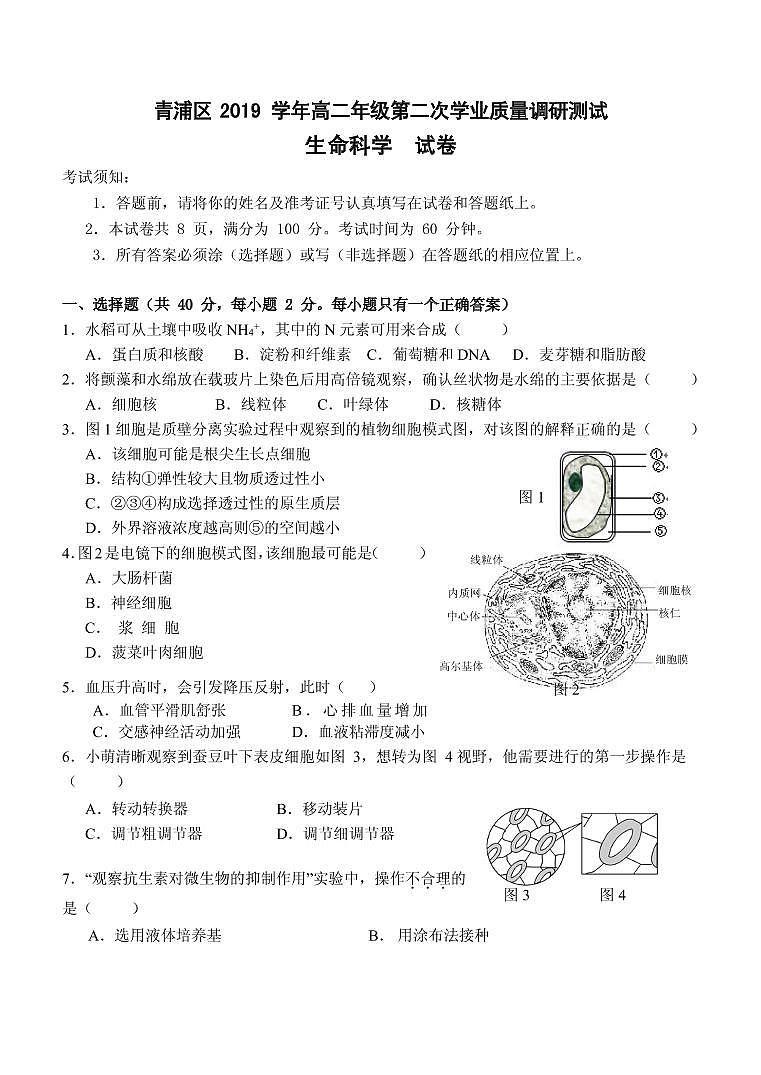 2020届上海市青浦区高三下学期第二次学业质量调研（二模）生物试题（PDF版）01